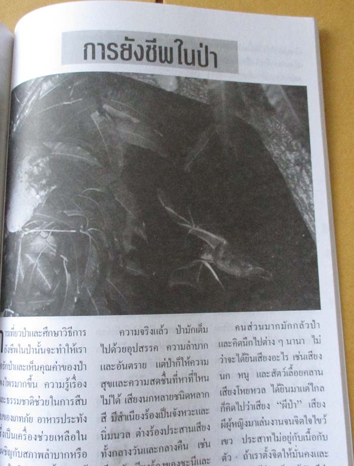  	 หนังสือ ห้วยขาแข้งแดนอาถรรณ์ เล่ม2 เคาะเดียว