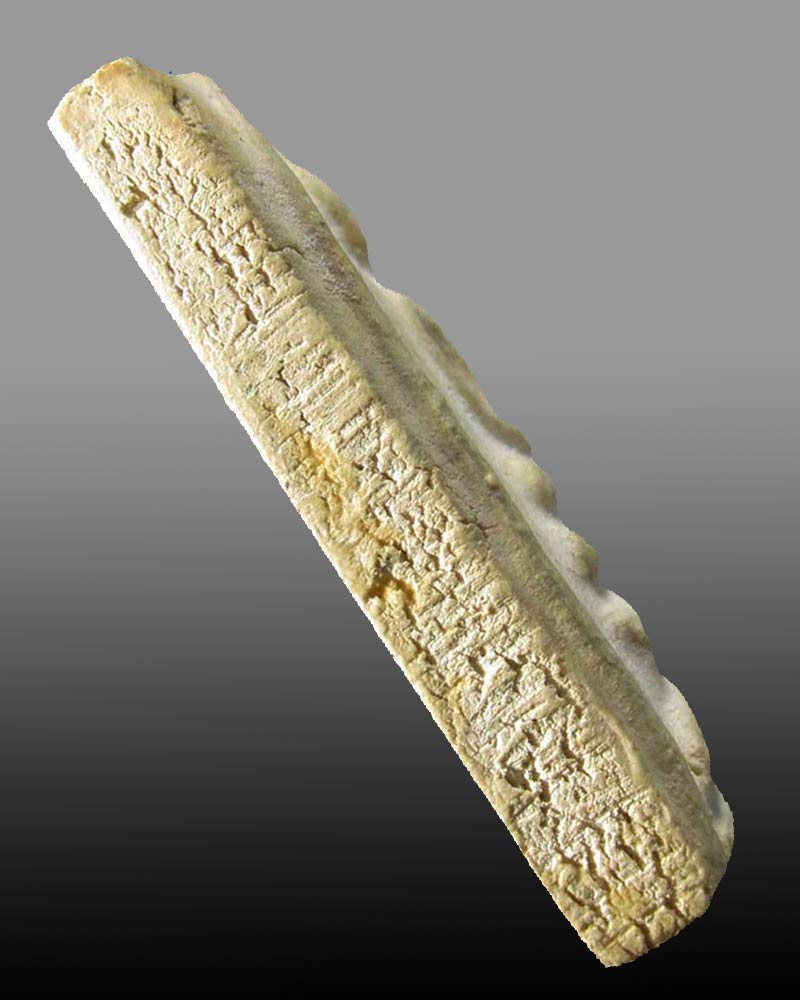 พระสมเด็จ สาย วัดระฆัง....พร้อมกล่อง