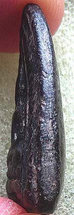 *พุทธชินราชกลีบบัวหลังยันต์ หลวงปู่ดี วัดเทวสังฆาราม (วัดเหนือ) กาญจนบุรี เนื้อดินเผาจุ่มรัก*