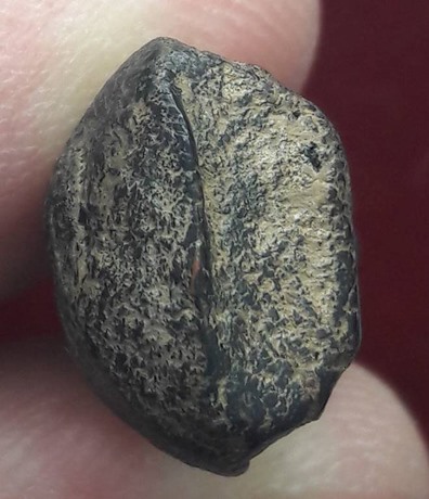 พระปิดตา เนื้อผง ลงรัก 