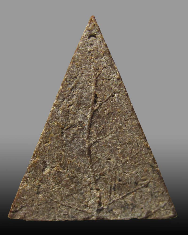 พระสมเด็จแสน หลังใบโพธิ์ รุ่นแรก เสมเด็จพระสังฆราช ป๋า วัดเชตุพนฯ(วัดโพธิ์ )กรุงเทพ ปี 2506