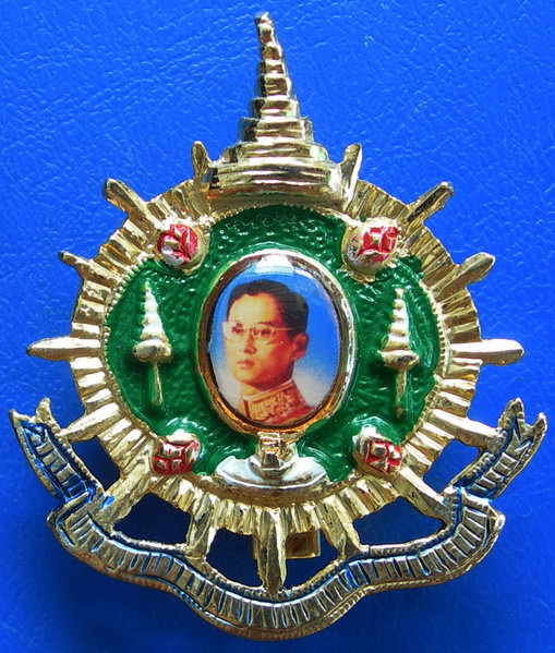 เข็มกลัดในหลวง.........