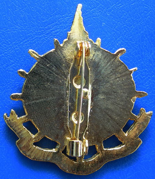 เข็มกลัดในหลวง.........