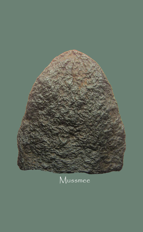 พระผงว่านจำปาสัก (พิมพ์หลวงพ่อโต) ของดีที่คนยุคเก่าเชื่อถือในพุทธคุณครับ ### เคาะเดียว ###