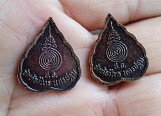 เหรียญหลวงปู่อั๊บ ใบพอ วัดท้องไทร