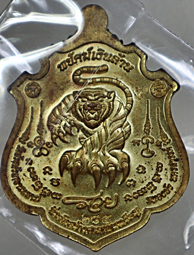 เหรียญพยัคฆ์เงินล้าน หลวงพ่อพัฒน์ วัดห้วยด้วน จ นครสวรรค์