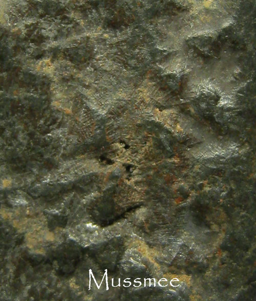 พระกรุวัดสุวรรณ อ่างทอง (ตะกั่วสนิมแด ง) หลวงพ่อเนียม วัดน้อย ปลุกเสก 