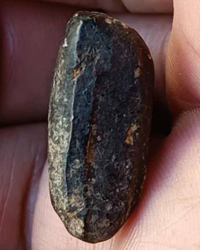 ปิดตาเนื้อผงลงรักพิมพ์ตะพาบ สะดือจุ่น หลวงพ่อทองสุข วัดสะพานสูง ปากเกร็ด จ.นนทบุรี