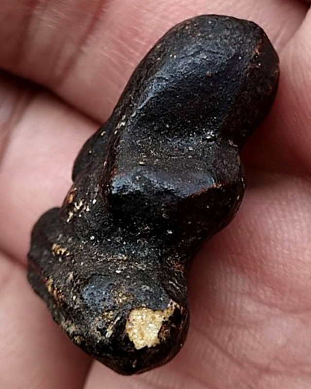 ปิดตาเนื้อผงลงรักพิมพ์ตะพาบ สะดือจุ่น หลวงพ่อทองสุข วัดสะพานสูง ปากเกร็ด จ.นนทบุรี