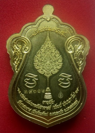 *วัดใจ*เหรียญเลื่อนสมณศักดิ์ หลวงพ่อพัฒน์ วัดห้วยด้วน จ.นครสวรรค์ ปี ๒๕๖๔**เหรียญวาระที่ดีที่สุด สวย