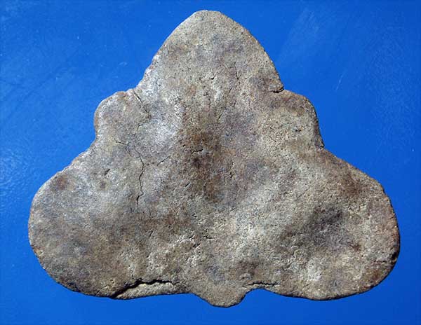 พระปิดตาพ่อมี วัดทรงคะนอง จ.นครปฐม เนื้อดินผสมผง