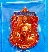 เหรียญเสมาพุทธซ้อน ลพ.คูณ รุ่น “เศรษฐีอีสาน” (ชุดกรรมการ) ทองแดงลงยาสีแดง ปี 57 สวยแชมป์(เคาะเดียว)