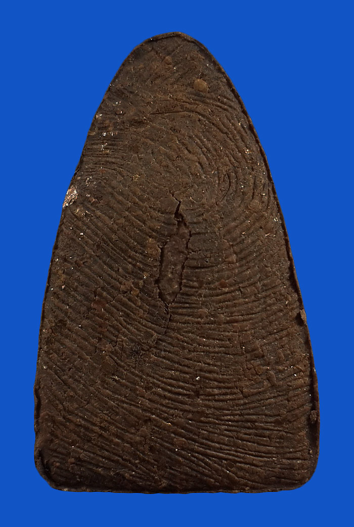 หลวงพ่อทวดเนื้อว่าน วัดห้วยมงคล จ.ประจวบคีรีขันธ์ รุ่นทูลเกล้า ปี47 