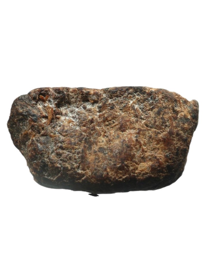 พระหลวงพ่อปลอด วัดหัวป่า จ.สงขลา พิมพ์หลวงพ่อคง