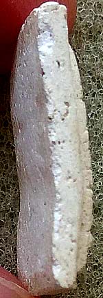 *พิมพ์คะแนน สร้างเขื่อน ปี๒๔๙๕ วัดเกศไชโยฯ อ่างทอง เนื้อขาว*