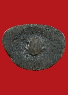 ปิดตาสังกัจจายน์หลวงพ่อคูณปี 36