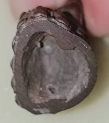 พระกริ่งหลวงพ่อผล วัดเทียนดัด นครปฐม