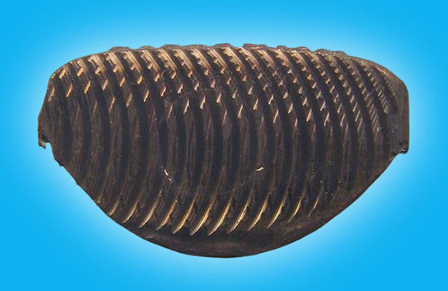 รูปเหมือนปั๊มรุ่นแรก เนื้อทองแดง พระอาจารย์ดิเรก วัดหนองทราย สุพรรณบุรี