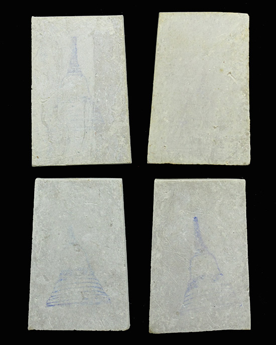 พระสมเด็จบางขุนพรหม จำนวน4องค์ครับ 