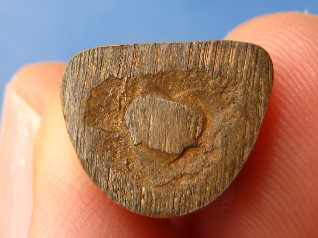 รูปหล่อ หลวงพ่อตี๋ วัดพรหมวิหาร จ.เชียงราย