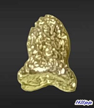 พระปิดตาสามกษัตริย์ มหาลาภยันต์ยุ่ง หลวงพ่อสงฆ์ วัดเจ้าฟ้าศาลาลอย จ.ชุมพร ปี 2519 แยกชุด