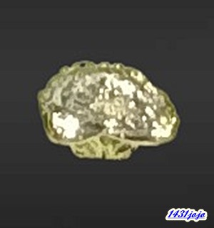 พระปิดตาสามกษัตริย์ มหาลาภยันต์ยุ่ง หลวงพ่อสงฆ์ วัดเจ้าฟ้าศาลาลอย จ.ชุมพร ปี 2519 แยกชุด