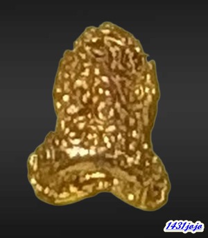 พระปิดตาสามกษัตริย์ มหาลาภยันต์ยุ่ง หลวงพ่อสงฆ์ วัดเจ้าฟ้าศาลาลอย จ.ชุมพร ปี 2519 แยกชุด