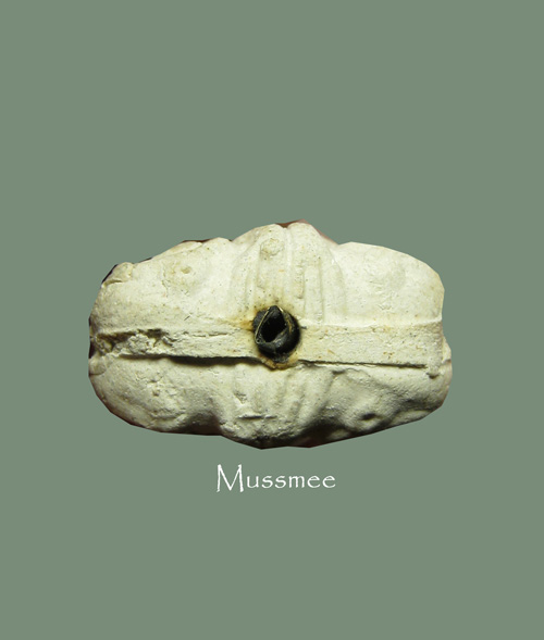 @@@ พระปิดตาเจ้าคุณผล วัดหนัง เคาะเดียว เนื้อผงขาว @@@