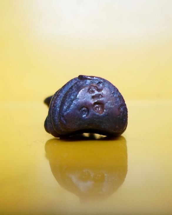 พระนาคปรก ครูบากฤษดา วัดสันพระเจ้าแดง