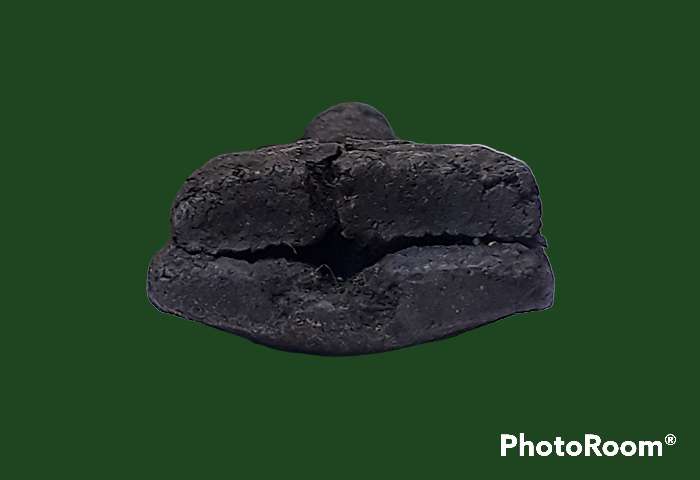 หลวงปู่ทวด เนื้อว่าน สภาพชำรุด