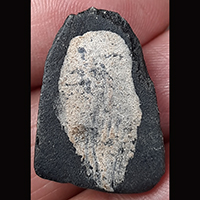 พระปิดตา ไม่ทราบที่