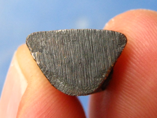 รูปหล่อ หลวงพ่อกิมเส็ง วัดหลวงพ่อโอภาสี บางมด