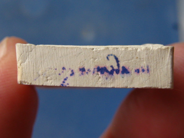 พระผงนาคปรก รุ่นแรก หลวงปู่เลี้ยง  วัดพานิชธรรมิการาม ลพบุรี ปี2528