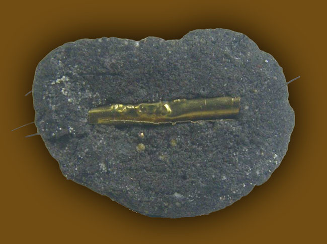 หลวงพี่น๊อต วัดตึกหิรัญราษฏร์  ราชบุรี 2 รายการ 