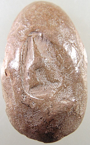 ขุนแผนไข่ผ่าซีกหลวงพ่อถิร วัดป่าเลไลย์