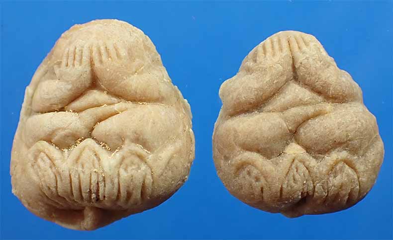 ขายขาดทุน!!!พระปิดตาฐานบัว วัดขวิด นนทบุรี พระอธิการรอด วัดขวิด+บัตรรับรองพระแท้*74