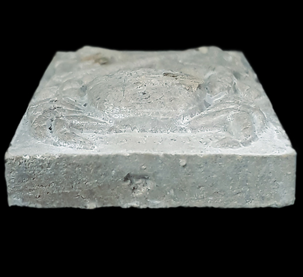 พระผงปูหนีบทรัพย์ หลวงปู่จักร วัดถ้ำเขารังไก่ จ.ชัยนาท ปี2551