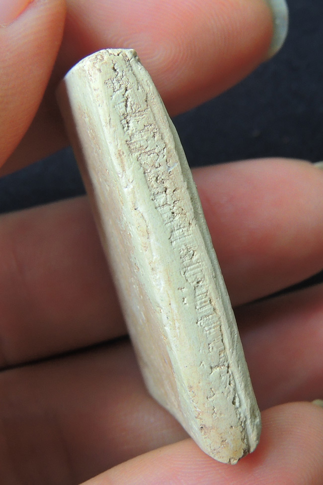 สมเด็จ 100 ปี วัดระฆัง ++ ไข่ปลาเลือน ++