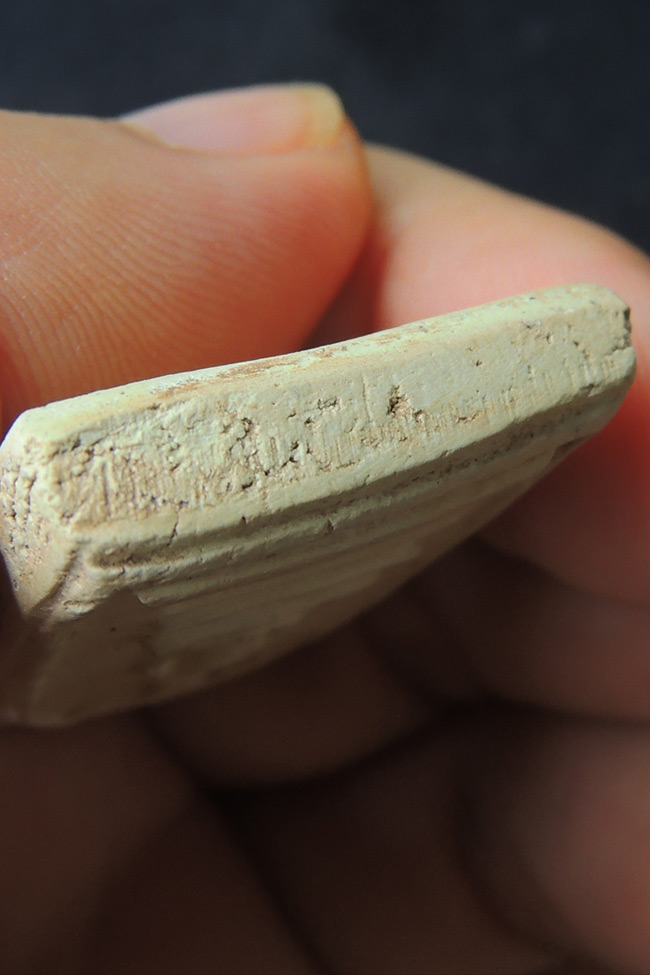 สมเด็จ 100 ปี วัดระฆัง ++ ไข่ปลาเลือน ++