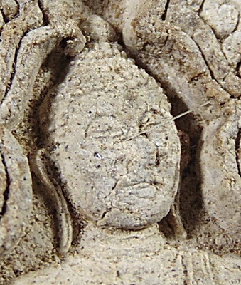 ขุนแผนหลวงพ่อแดง วัดห้วยฉลองราษฎร์ จ อุตรดิตถ์ ฝังตะกรุด โรยเกศา