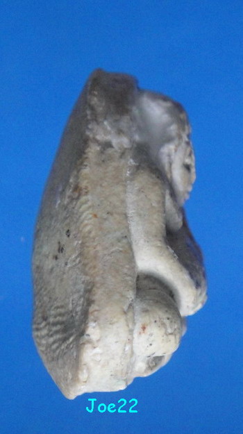 เคาะเดียวครับ พระสังกัจจายน์ วัดประสาทบุญญาวาส กทม ปี 2506