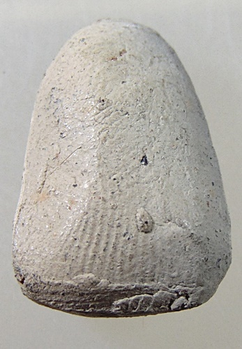 พระเม็ดบัว เจ้าคุณโพธิ์ วัดชัยพฤกษ์มาลา เนื้อดิน ปี 2442