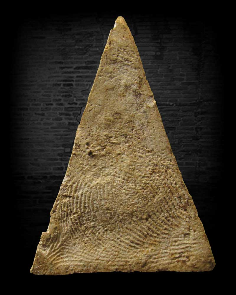 พระนางพญาข้างกนก หลวงปู่นาค วัดระฆัง ออกที่วัดชิโนรส กรุงเทพฯ