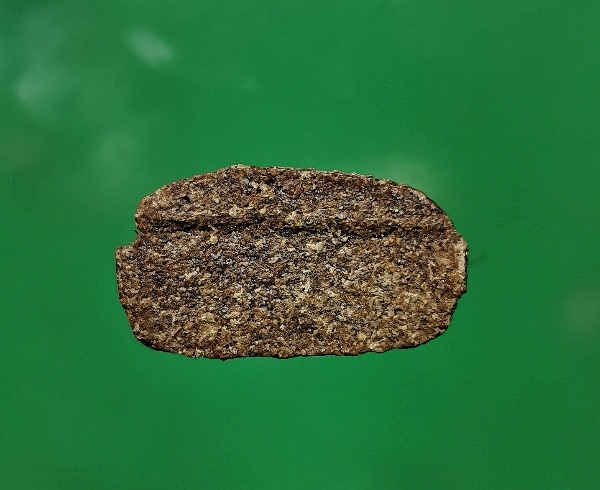 พระสัังกัจจายน์ เนื้อว่าน ผสมเกศา หลวงพ่อนก วัดเขาบังเหย