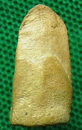 N พระรอด วัดพระสิงห์ เชียงใหม่ ปี2496