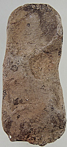 ๒๐ พระนาคปรกเนื้อดิน