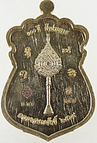 เหรียญฉลองสมณศักดิ์ หลวงพ่อพัฒน์ วัดห้วยด้วน จ นครสวรรค์ ปี๖๔