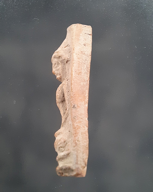 พระจงอางศึก รุ่นแรก ปี2510