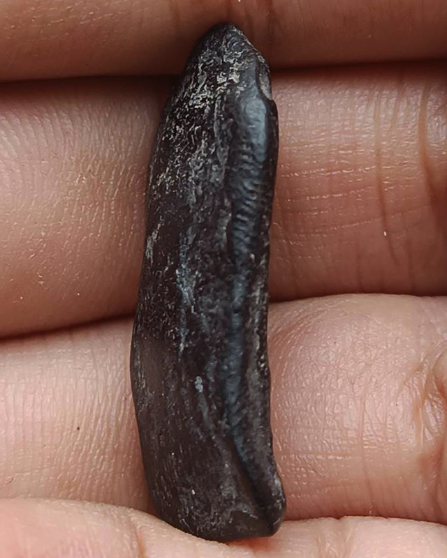 พระสิวลีเนื้อดินดำ สูงประมาณ 3 ซ.ม. ไม่ทราบที่ พระบ้านเก่าเก็บ หลายสิบปี