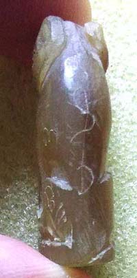 *เสือเขาควายเผือก หลวงพ่อสิน วัดละหารใหญ่ ระยอง*